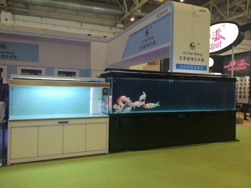 2011年廣州國(guó)際水族寵物展-北京金海王水族箱展區(qū)現(xiàn)場(chǎng)直播